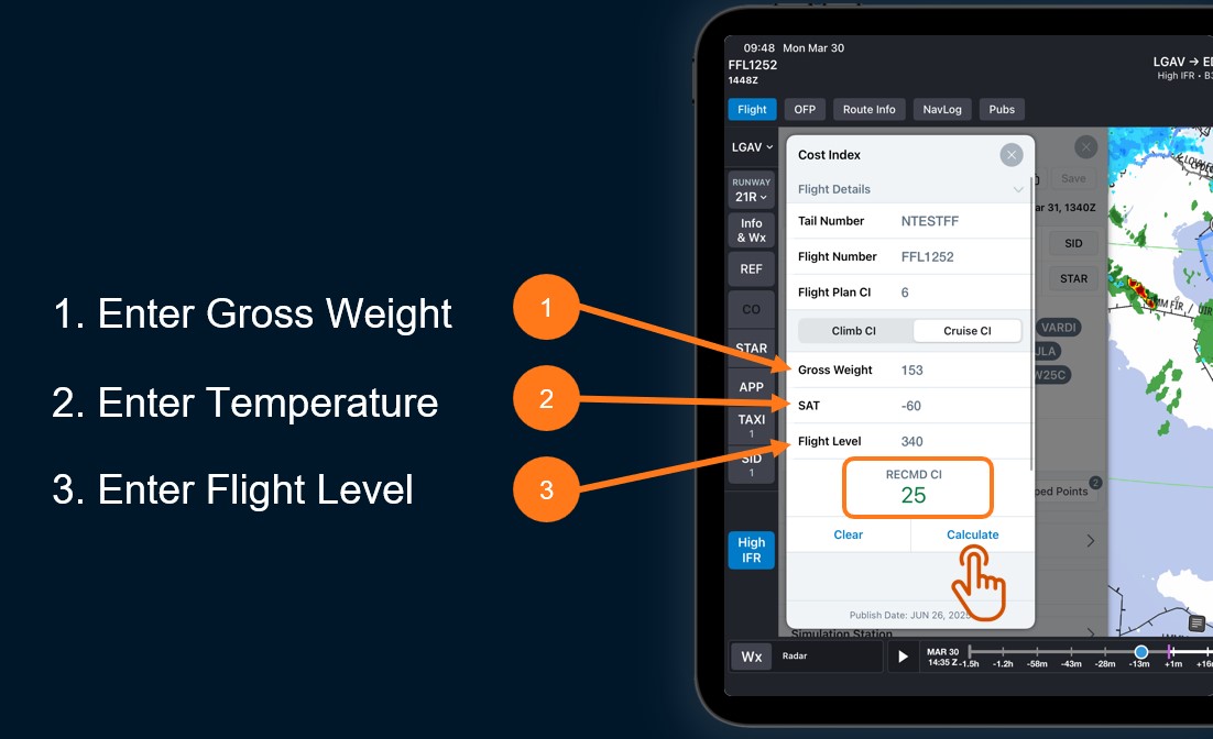 CIO Input Parameters